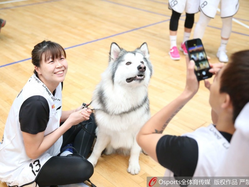 金兰携瑞犬，京城展英姿：北京女篮新春写真定格柔情与霸气