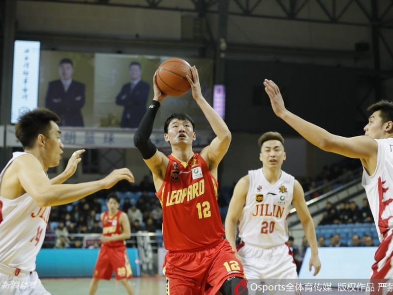 东北虎主场饮恨吞八连败 深圳烈豹客场凯歌奏