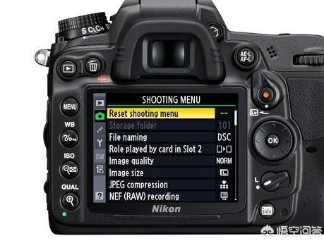 俺的尼康十年相伴路：从快门咔嚓到数字洪流，这么打理你的摄影宝藏