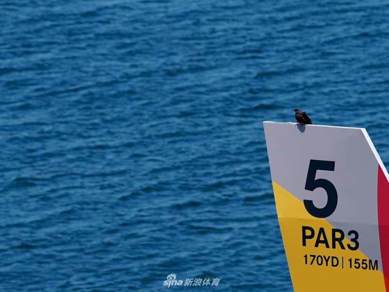 山海之间的挥杆挑战：探索韩国海滨悬崖高尔夫球场